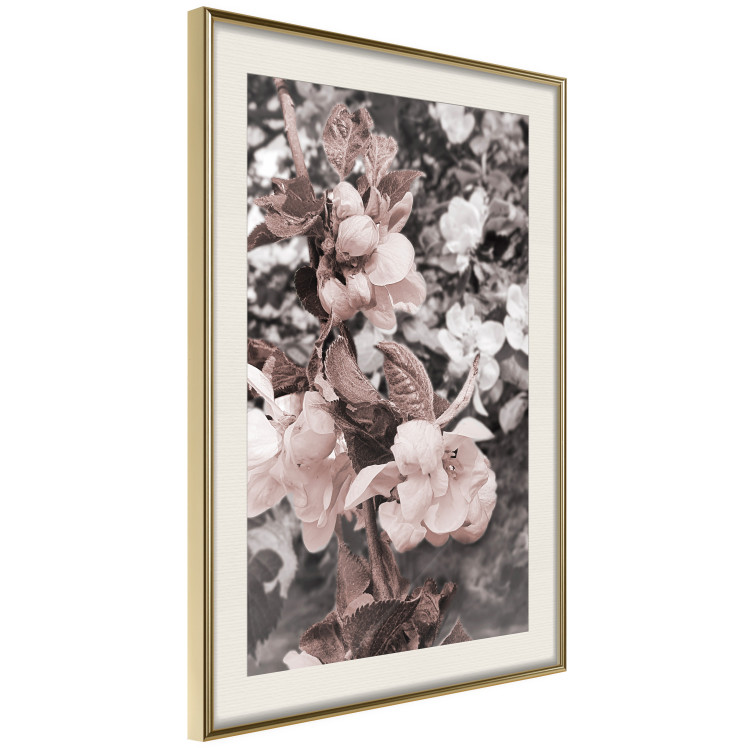 Wall Poster Balance in Nature - composition of flowers in delicate light colors 127859 additionalImage 3