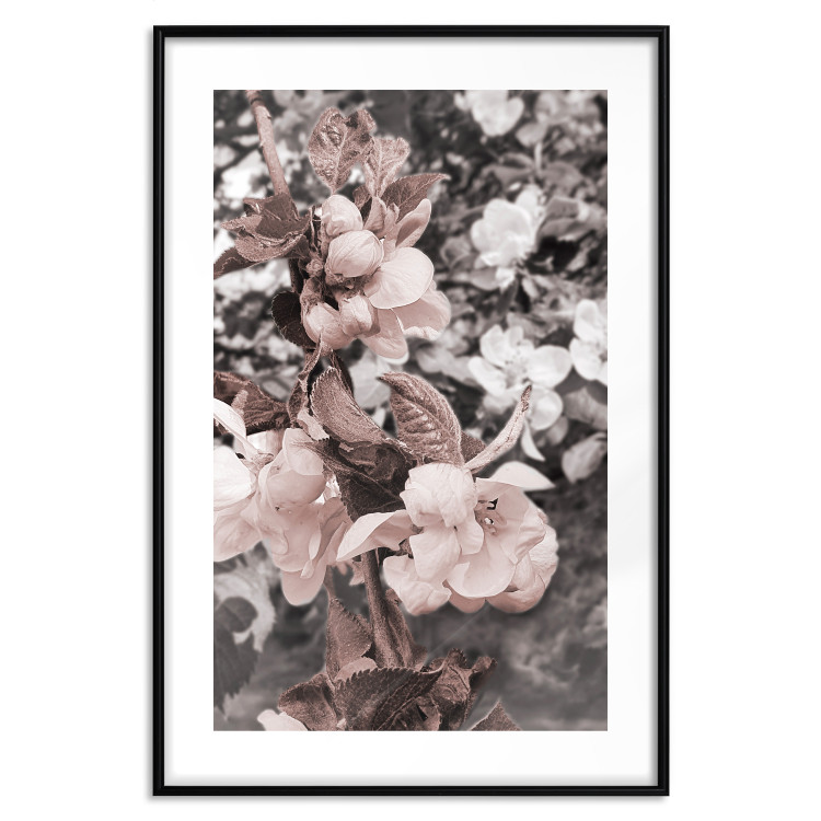 Wall Poster Balance in Nature - composition of flowers in delicate light colors 127859 additionalImage 15