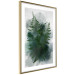 Poster Painted Fern - abstract plant composition of green ferns 134459 additionalThumb 7