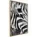 Poster Striped Nature - black and white striped zebra in an abstract motif 135359 additionalThumb 23