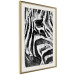 Poster Striped Nature - black and white striped zebra in an abstract motif 135359 additionalThumb 19