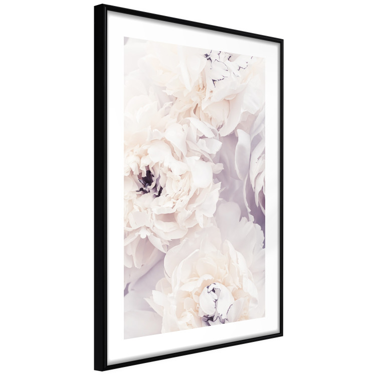 Poster Vanilla Magnolias - composition of flowers with a delicate purple hue 135759 additionalImage 10