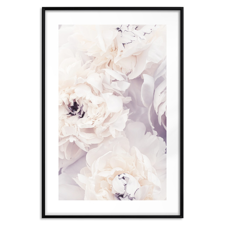 Poster Vanilla Magnolias - composition of flowers with a delicate purple hue 135759 additionalImage 24