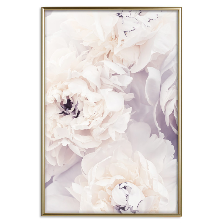 Poster Vanilla Magnolias - composition of flowers with a delicate purple hue 135759 additionalImage 5