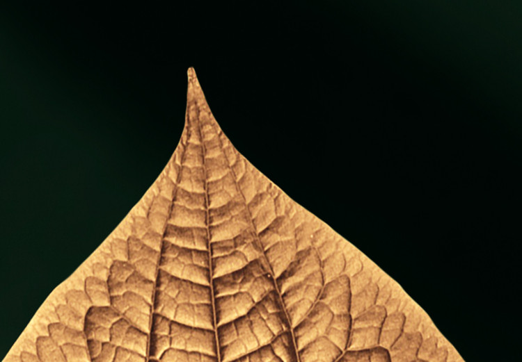 Canvas Golden Corner (5-piece) Narrow - exotic leaves on a black background 138059 additionalImage 5
