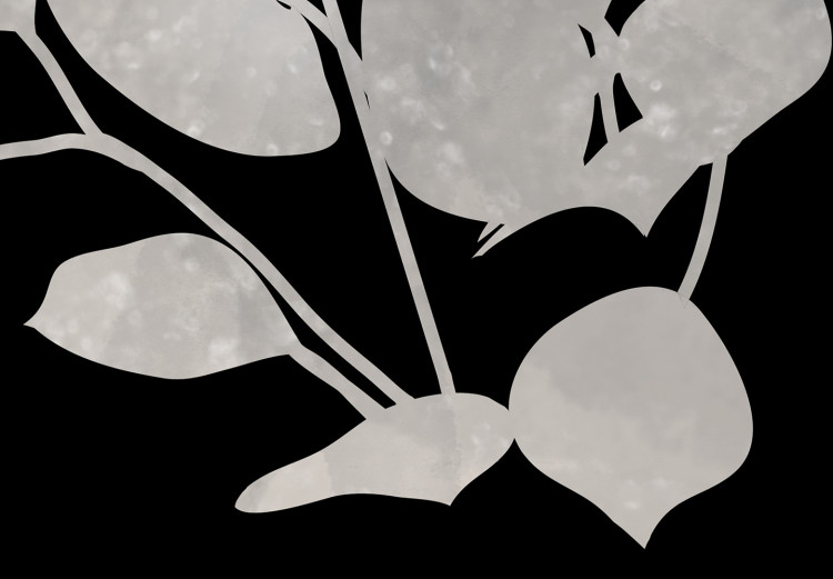 Canvas Art Print Eucalyptus Twigs - Minimalist Plants on a Dark Background 146159 additionalImage 5