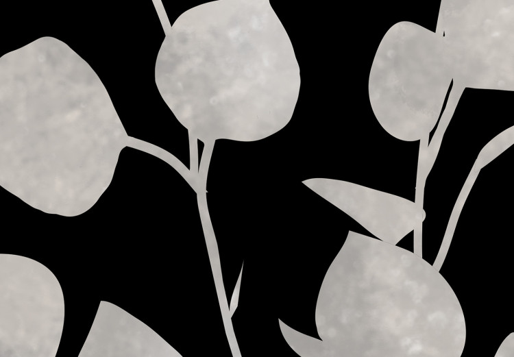 Canvas Art Print Eucalyptus Twigs - Minimalist Plants on a Dark Background 146159 additionalImage 4