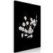 Canvas Art Print Eucalyptus Twigs - Minimalist Plants on a Dark Background 146159 additionalThumb 2