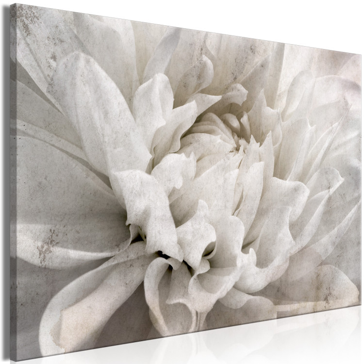 Canvas Marble Flower (1-piece) - light petals arranged on a white background 149259 additionalImage 2