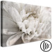 Canvas Marble Flower (1-piece) - light petals arranged on a white background 149259 additionalThumb 6