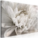 Canvas Marble Flower (1-piece) - light petals arranged on a white background 149259 additionalThumb 2
