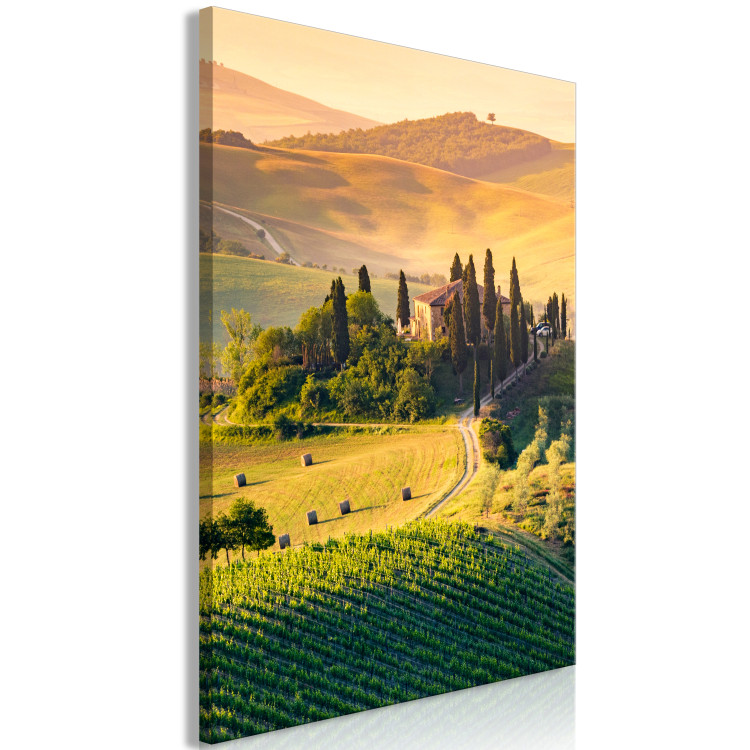 Canvas Art Print Sunny Fields of Tuscany - Landscape Photography at Sunset 149859 additionalImage 2
