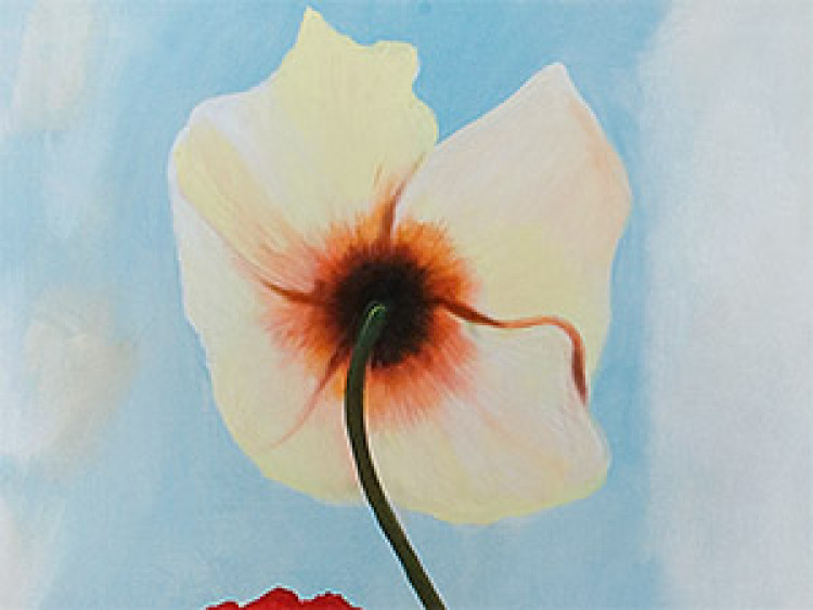 Canvas Print Various Colors of Poppies (1-piece) - floral motif with blue sky 47159 additionalImage 3