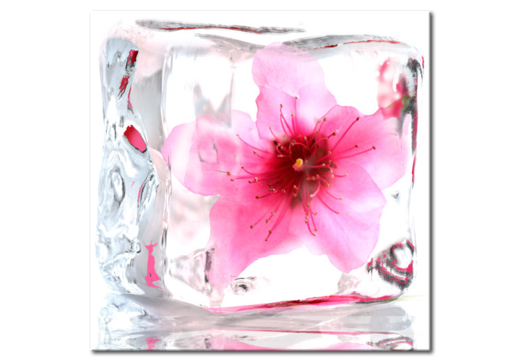 Canvas Art Print Frozen cherry blossom 58759