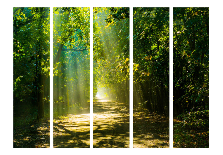 Folding Screen Path in the Sun II - landscape of a road through the forest and sunbeams 95559 additionalImage 3