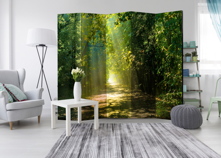 Folding Screen Path in the Sun II - landscape of a road through the forest and sunbeams 95559 additionalImage 4