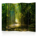 Folding Screen Path in the Sun II - landscape of a road through the forest and sunbeams 95559