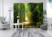 Folding Screen Path in the Sun II - landscape of a road through the forest and sunbeams 95559 additionalThumb 4
