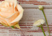 Wall Mural Romantic floral composition - roses and daisies on a wooden background 97459 additionalThumb 3