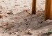 Canvas Print Beach After Rain 98559 additionalThumb 4