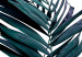 Canvas Tropical details - exotic vegetation with a graphic motif 118069 additionalThumb 4