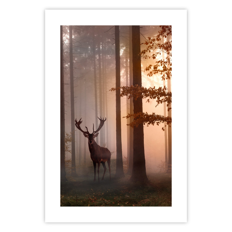 Wall Poster Morning - wild deer among forest trees against the backdrop of an autumn landscape 120469 additionalImage 25