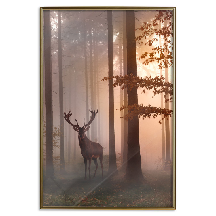 Wall Poster Morning - wild deer among forest trees against the backdrop of an autumn landscape 120469 additionalImage 20