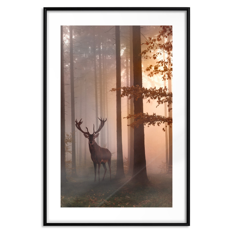Wall Poster Morning - wild deer among forest trees against the backdrop of an autumn landscape 120469 additionalImage 17