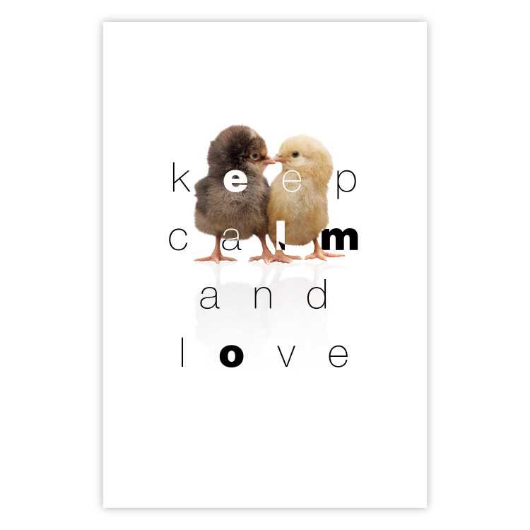 Poster Keep Calm and Love - romantic chicken couple with English text 125269 additionalImage 25