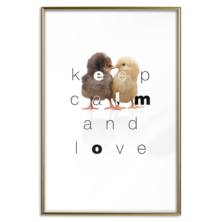 Poster Keep Calm and Love - romantic chicken couple with English text 125269 additionalImage 16