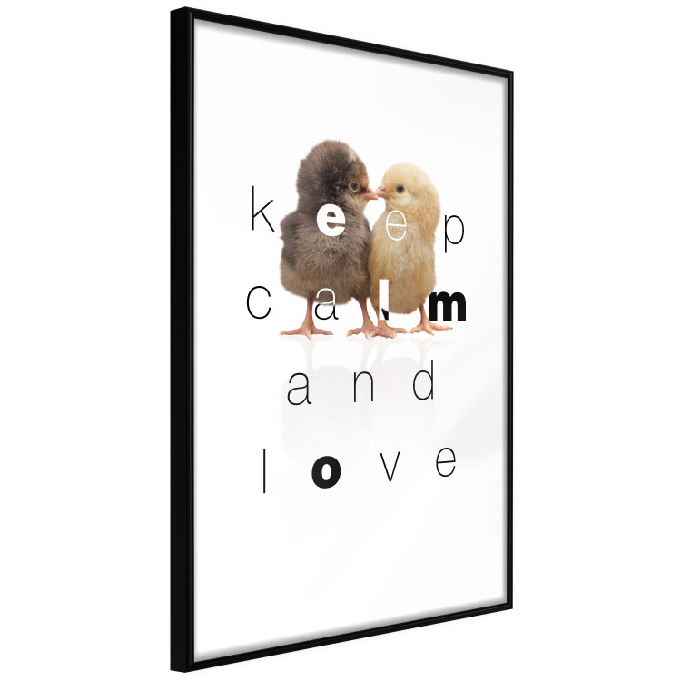 Poster Keep Calm and Love - romantic chicken couple with English text 125269 additionalImage 10