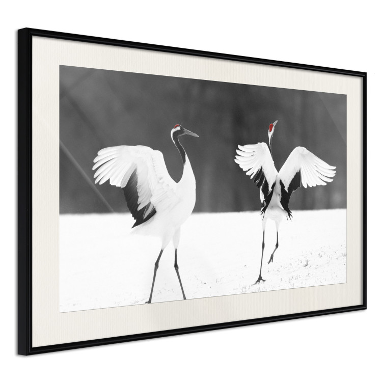 Poster Dancing Cranes - winged animals in a black and white motif 125369 additionalImage 3