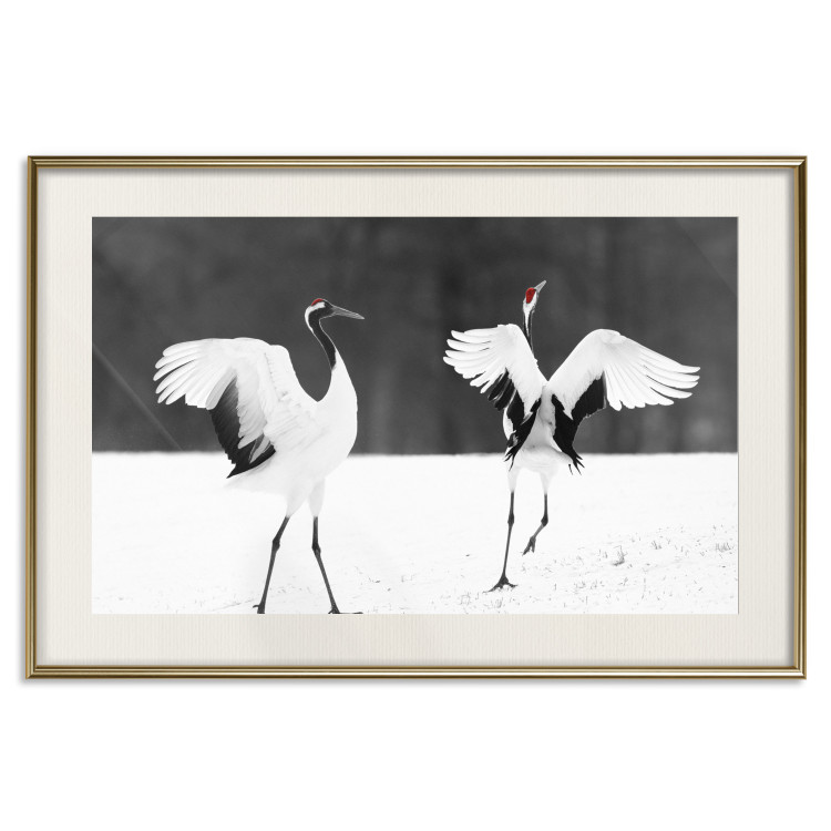 Poster Dancing Cranes - winged animals in a black and white motif 125369 additionalImage 19
