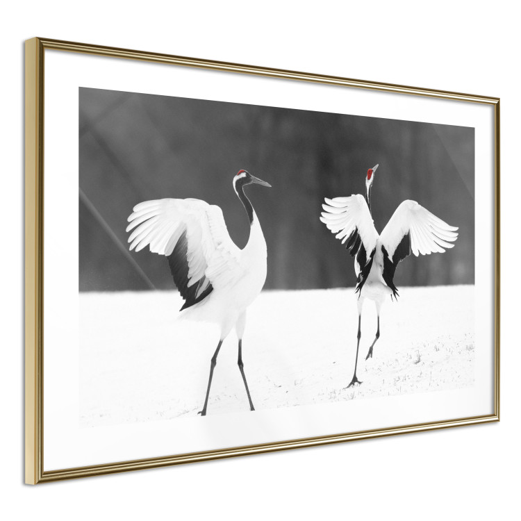 Poster Dancing Cranes - winged animals in a black and white motif 125369 additionalImage 8