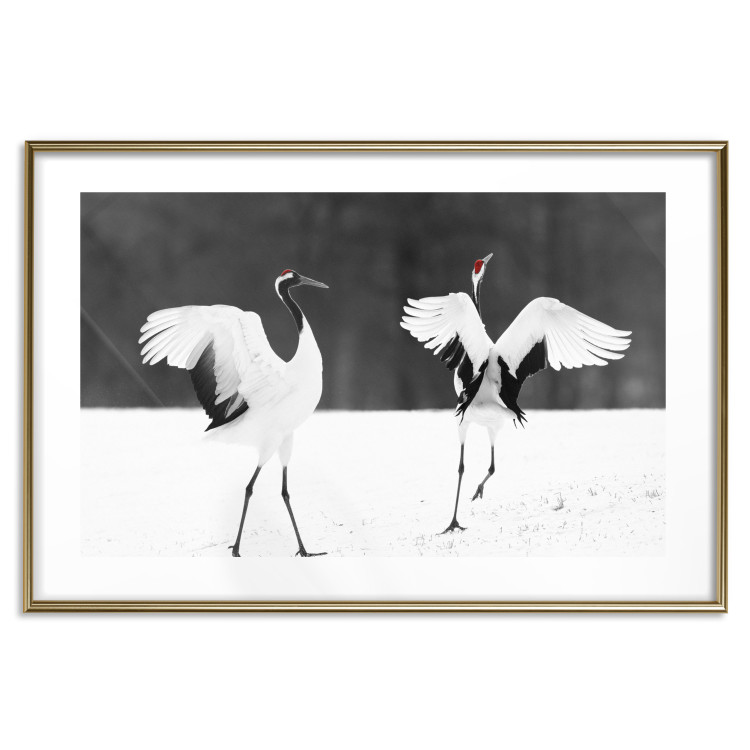 Poster Dancing Cranes - winged animals in a black and white motif 125369 additionalImage 14