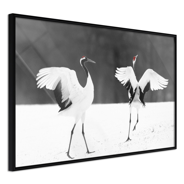 Poster Dancing Cranes - winged animals in a black and white motif 125369 additionalImage 10