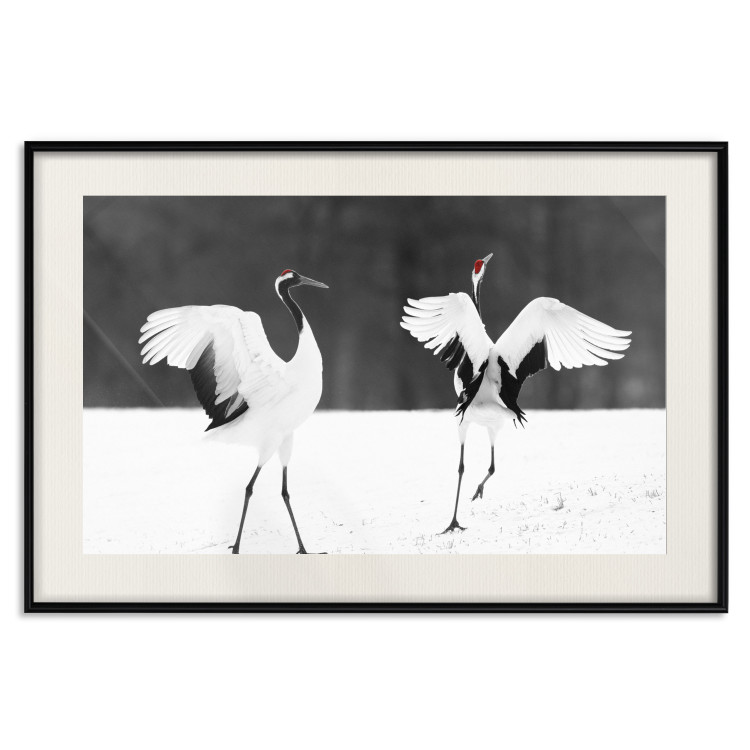 Poster Dancing Cranes - winged animals in a black and white motif 125369 additionalImage 18