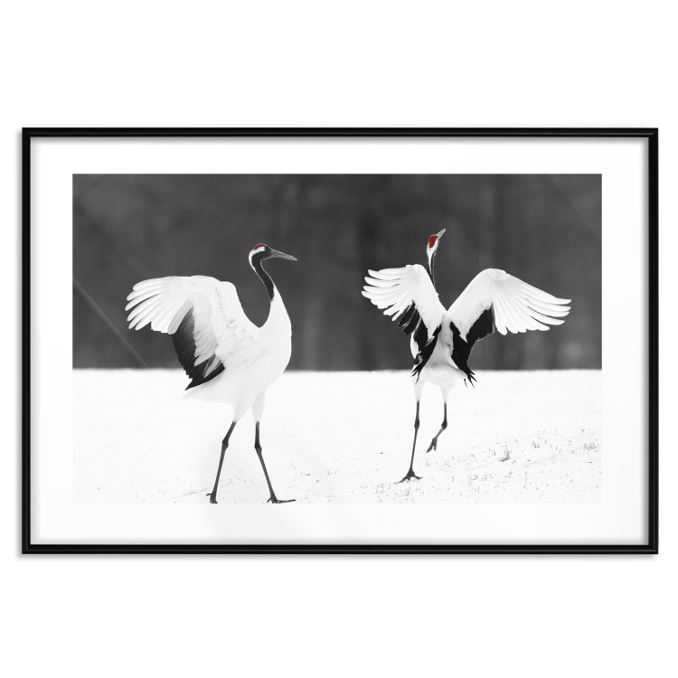 Poster Dancing Cranes - winged animals in a black and white motif 125369 additionalImage 15