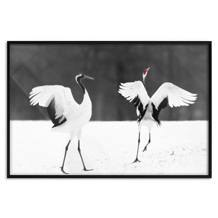Poster Dancing Cranes - winged animals in a black and white motif 125369 additionalImage 24