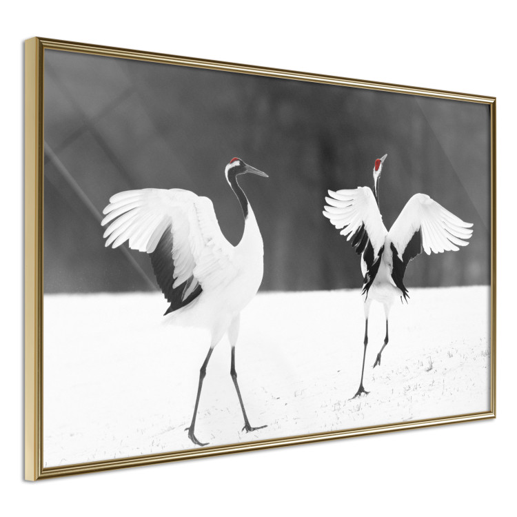 Poster Dancing Cranes - winged animals in a black and white motif 125369 additionalImage 14
