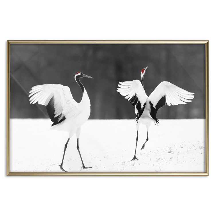 Poster Dancing Cranes - winged animals in a black and white motif 125369 additionalImage 20