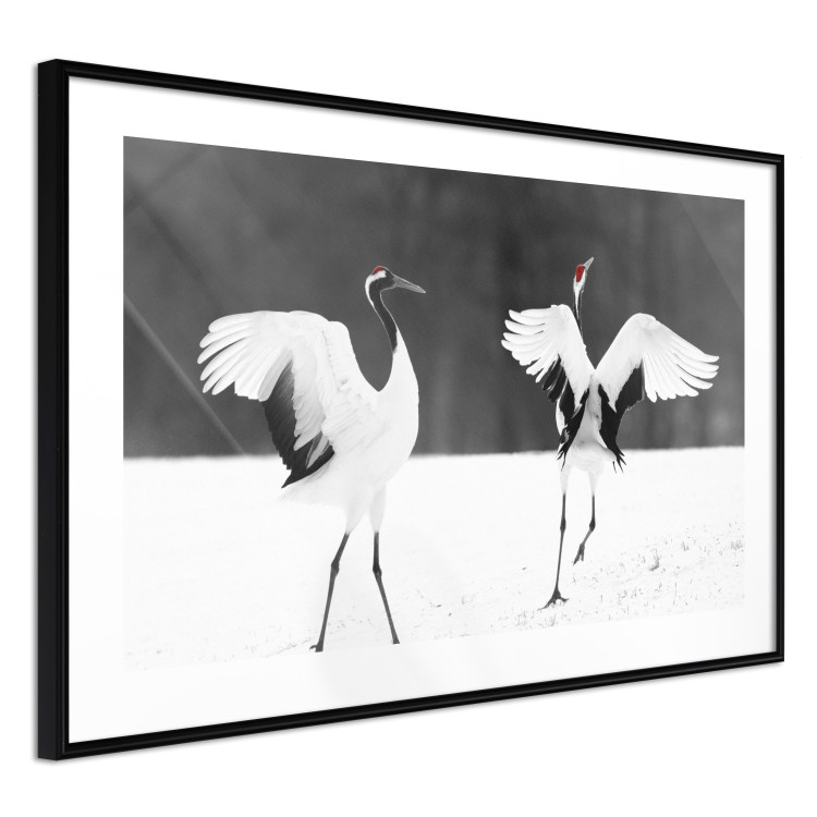 Poster Dancing Cranes - winged animals in a black and white motif 125369 additionalImage 11