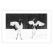 Poster Dancing Cranes - winged animals in a black and white motif 125369 additionalThumb 19