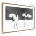 Poster Dancing Cranes - winged animals in a black and white motif 125369 additionalThumb 8