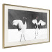 Poster Dancing Cranes - winged animals in a black and white motif 125369 additionalThumb 2
