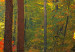 Large canvas print Sunny Autumn [Large Format] 125569 additionalThumb 4