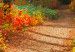 Large canvas print Sunny Autumn [Large Format] 125569 additionalThumb 3