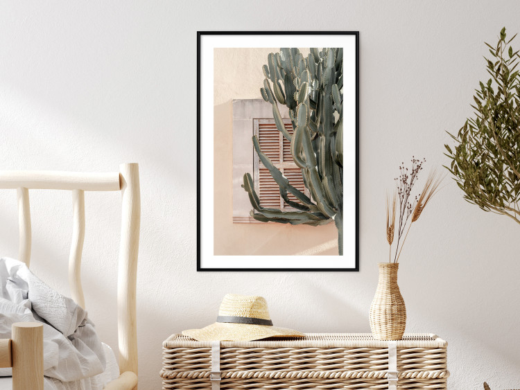 Wall Poster Green Thorns - composition with tropical plant against architecture 129469 additionalImage 18