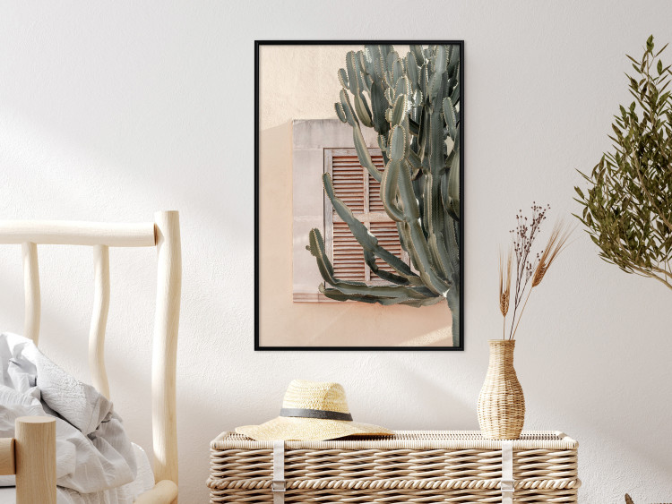 Wall Poster Green Thorns - composition with tropical plant against architecture 129469 additionalImage 4