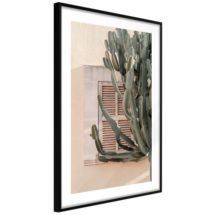 Wall Poster Green Thorns - composition with tropical plant against architecture 129469 additionalImage 6